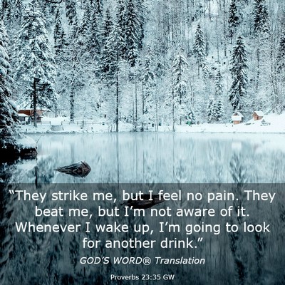 Picture 03 - Proverbs 23:35 GW - “They strike me, but I feel no pain. They beat - Bible Verse Picture
