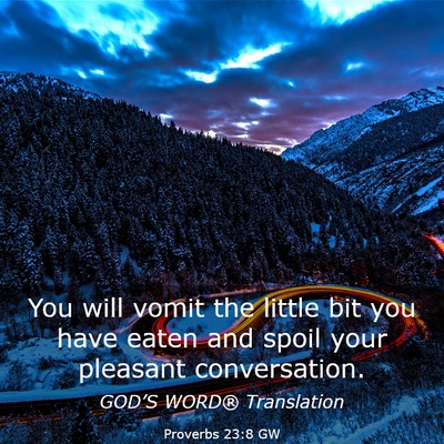 Picture 03 - Proverbs 23:8 GW - You will vomit the little bit you have eaten and - Bible Verse Picture