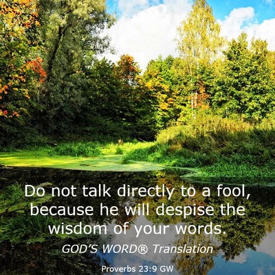 Picture 03 - Proverbs 23:9 GW - Do not talk directly to a fool, because he will - Bible Verse Picture