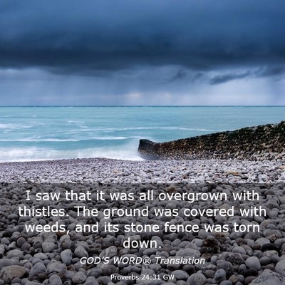 Picture 03 - Proverbs 24:31 GW - I saw that it was all overgrown with thistles. - Bible Verse Picture