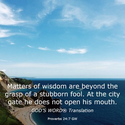 Picture 03 - Proverbs 24:7 GW - Matters of wisdom are beyond the grasp of a - Bible Verse Picture
