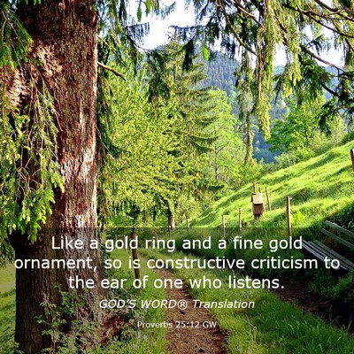 Picture 03 - Proverbs 25:12 GW - Like a gold ring and a fine gold ornament, so is - Bible Verse Picture