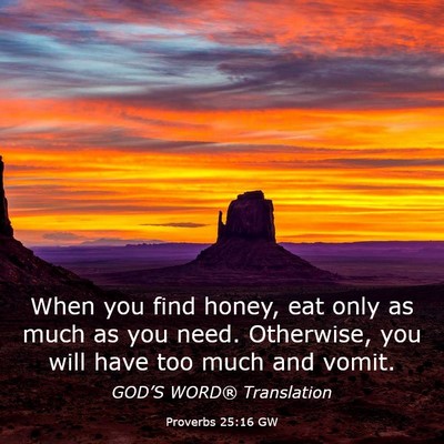 Picture 03 - Proverbs 25:16 GW - When you find honey, eat only as much as you - Bible Verse Picture