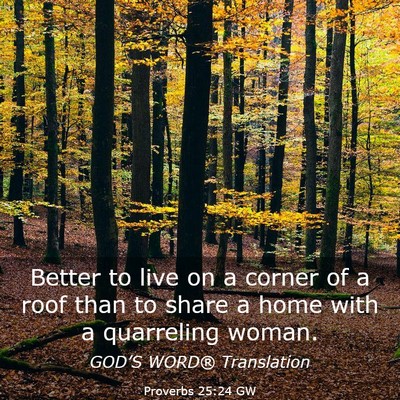 Picture 03 - Proverbs 25:24 GW - Better to live on a corner of a roof than to - Bible Verse Picture