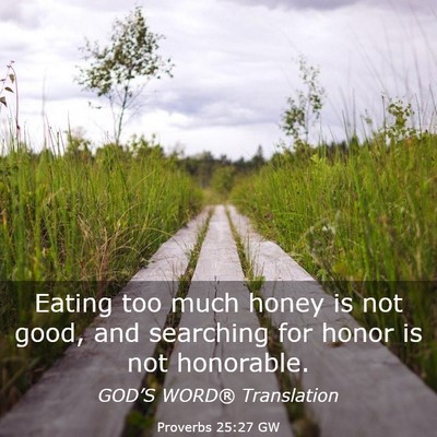Picture 03 - Proverbs 25:27 GW - Eating too much honey is not good, and searching - Bible Verse Picture