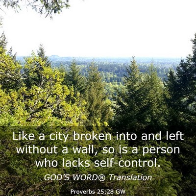 Picture 03 - Proverbs 25:28 GW - Like a city broken into and left without a wall, - Bible Verse Picture