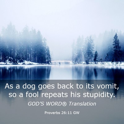 Picture 03 - Proverbs 26:11 GW - As a dog goes back to its vomit, so a fool - Bible Verse Picture