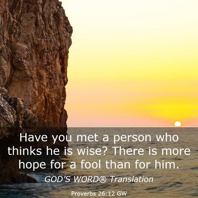 Picture 03 - Proverbs 26:12 GW - Have you met a person who thinks he is wise? - Bible Verse Picture