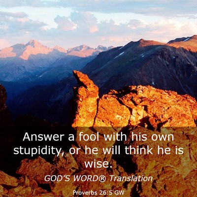 Picture 03 - Proverbs 26:5 GW - Answer a fool with his own stupidity, or he will - Bible Verse Picture