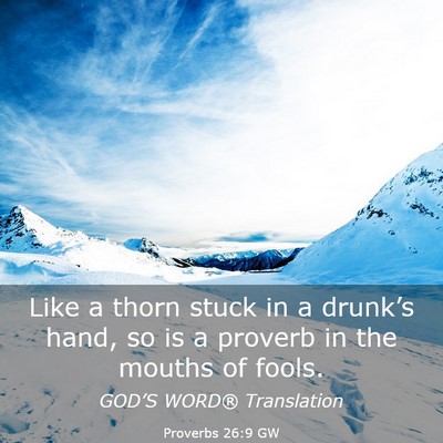 Picture 03 - Proverbs 26:9 GW - Like a thorn stuck in a drunk’s hand, so is a - Bible Verse Picture