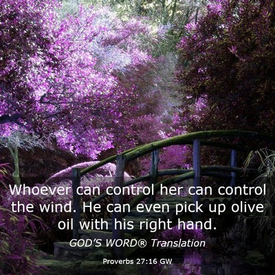 Picture 03 - Proverbs 27:16 GW - Whoever can control her can control the wind. He - Bible Verse Picture