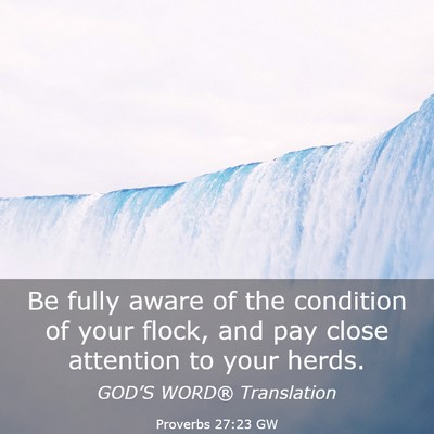 Picture 03 - Proverbs 27:23 GW - Be fully aware of the condition of your flock, - Bible Verse Picture
