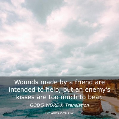 Picture 03 - Proverbs 27:6 GW - Wounds made by a friend are intended to help, but - Bible Verse Picture