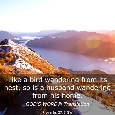 Picture 03 - Proverbs 27:8 GW - Like a bird wandering from its nest, so is a - Bible Verse Picture