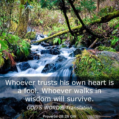 Picture 03 - Proverbs 28:26 GW - Whoever trusts his own heart is a fool. Whoever - Bible Verse Picture