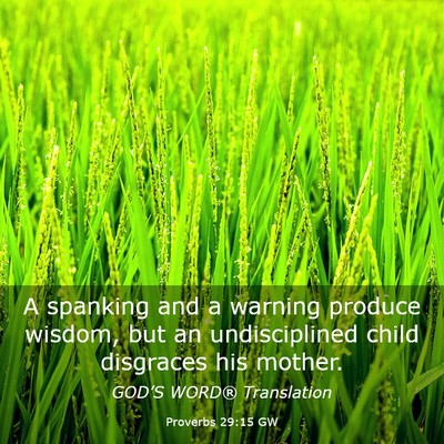 Picture 03 - Proverbs 29:15 GW - A spanking and a warning produce wisdom, but an - Bible Verse Picture