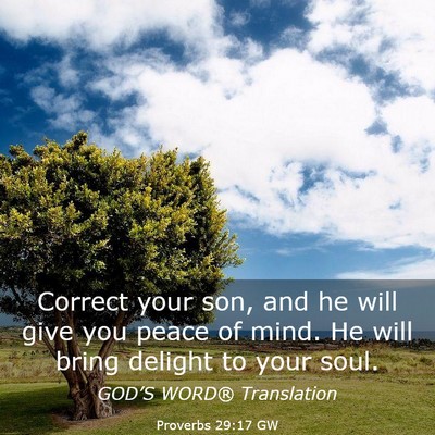 Picture 03 - Proverbs 29:17 GW - Correct your son, and he will give you peace of - Bible Verse Picture