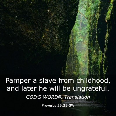 Picture 03 - Proverbs 29:21 GW - Pamper a slave from childhood, and later he will - Bible Verse Picture