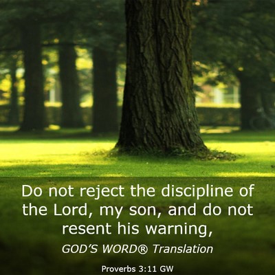 Picture 03 - Proverbs 3:11 GW - Do not reject the discipline of the Lord, my son, - Bible Verse Picture