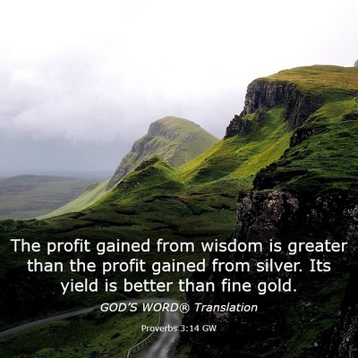 Picture 03 - Proverbs 3:14 GW - The profit gained from wisdom is greater than the - Bible Verse Picture