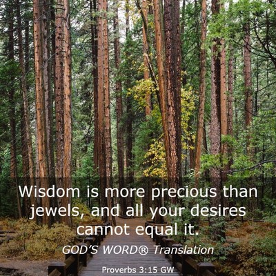Picture 03 - Proverbs 3:15 GW - Wisdom is more precious than jewels, and all your - Bible Verse Picture