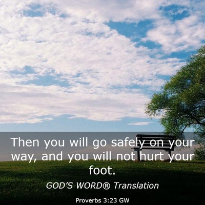 Picture 03 - Proverbs 3:23 GW - Then you will go safely on your way, and you will - Bible Verse Picture