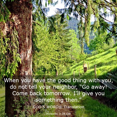 Picture 03 - Proverbs 3:28 GW - When you have the good thing with you, do not - Bible Verse Picture
