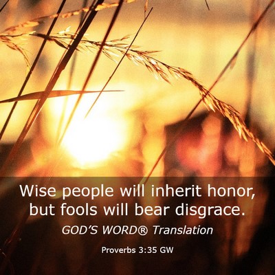 Picture 03 - Proverbs 3:35 GW - Wise people will inherit honor, but fools will - Bible Verse Picture