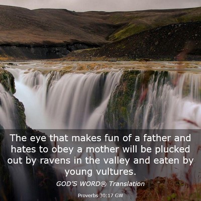 Picture 03 - Proverbs 30:17 GW - The eye that makes fun of a father and hates to - Bible Verse Picture