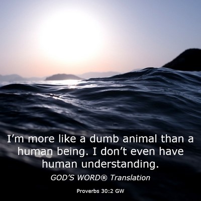 Picture 03 - Proverbs 30:2 GW - I’m more like a dumb animal than a human being. - Bible Verse Picture
