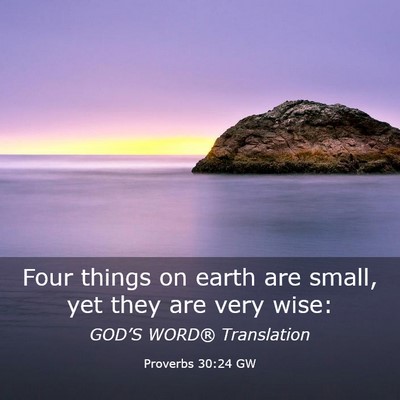 Picture 03 - Proverbs 30:24 GW - Four things on earth are small, yet they are very - Bible Verse Picture