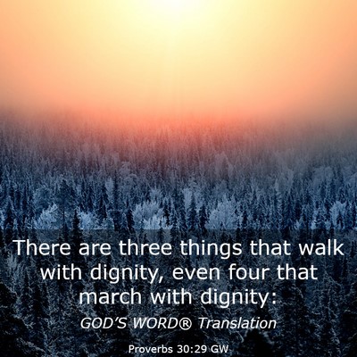 Picture 03 - Proverbs 30:29 GW - There are three things that walk with dignity, - Bible Verse Picture