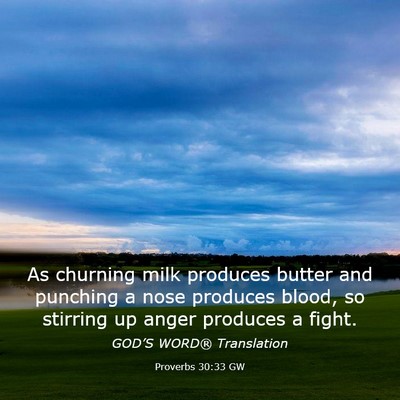 Picture 03 - Proverbs 30:33 GW - As churning milk produces butter and punching a - Bible Verse Picture