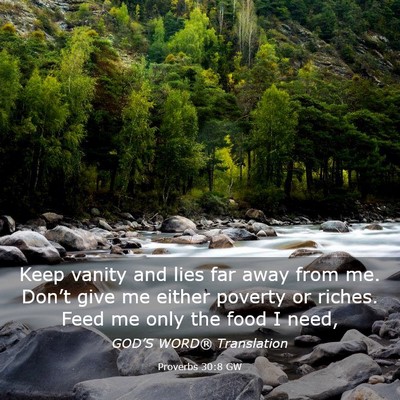 Picture 03 - Proverbs 30:8 GW - Keep vanity and lies far away from me. Don’t - Bible Verse Picture