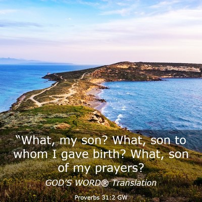 Picture 03 - Proverbs 31:2 GW - “What, my son? What, son to whom I gave birth? - Bible Verse Picture