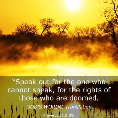 Picture 03 - Proverbs 31:8 GW - “Speak out for the one who cannot speak, for - Bible Verse Picture