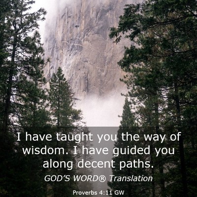 Picture 03 - Proverbs 4:11 GW - I have taught you the way of wisdom. I have - Bible Verse Picture