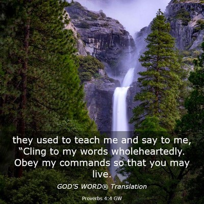 Picture 03 - Proverbs 4:4 GW - they used to teach me and say to me, “Cling to - Bible Verse Picture