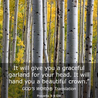 Picture 03 - Proverbs 4:9 GW - It will give you a graceful garland for your - Bible Verse Picture