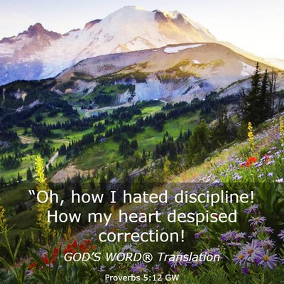 Picture 03 - Proverbs 5:12 GW - “Oh, how I hated discipline! How my heart - Bible Verse Picture
