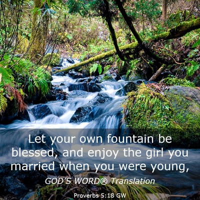 Picture 03 - Proverbs 5:18 GW - Let your own fountain be blessed, and enjoy the - Bible Verse Picture