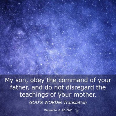 Picture 03 - Proverbs 6:20 GW - My son, obey the command of your father, and do - Bible Verse Picture