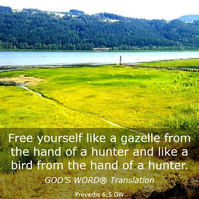 Picture 03 - Proverbs 6:5 GW - Free yourself like a gazelle from the hand of a - Bible Verse Picture