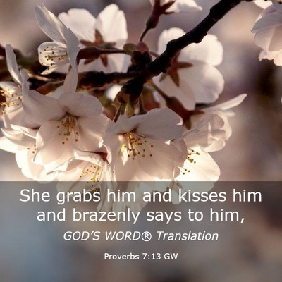 Picture 03 - Proverbs 7:13 GW - She grabs him and kisses him and brazenly says to - Bible Verse Picture