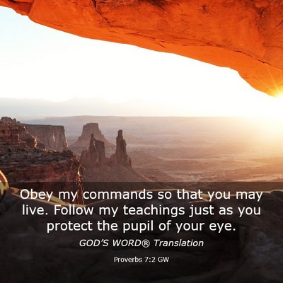 Picture 03 - Proverbs 7:2 GW - Obey my commands so that you may live. Follow my - Bible Verse Picture