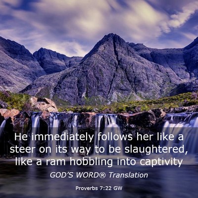Picture 03 - Proverbs 7:22 GW - He immediately follows her like a steer on its - Bible Verse Picture