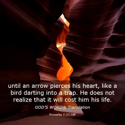 Picture 03 - Proverbs 7:23 GW - until an arrow pierces his heart, like a bird - Bible Verse Picture