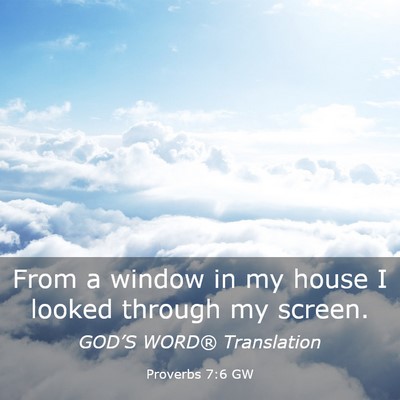 Picture 03 - Proverbs 7:6 GW - From a window in my house I looked through my - Bible Verse Picture