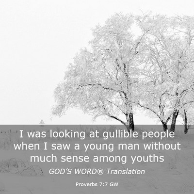 Picture 03 - Proverbs 7:7 GW - I was looking at gullible people when I saw a - Bible Verse Picture