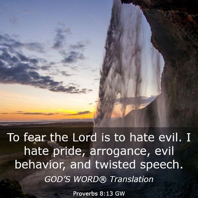 Picture 03 - Proverbs 8:13 GW - To fear the Lord is to hate evil. I hate pride, - Bible Verse Picture